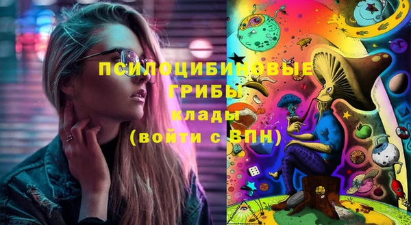 индика Алексин