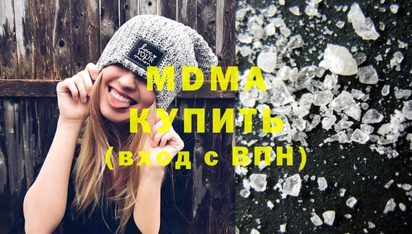 индика Алексин