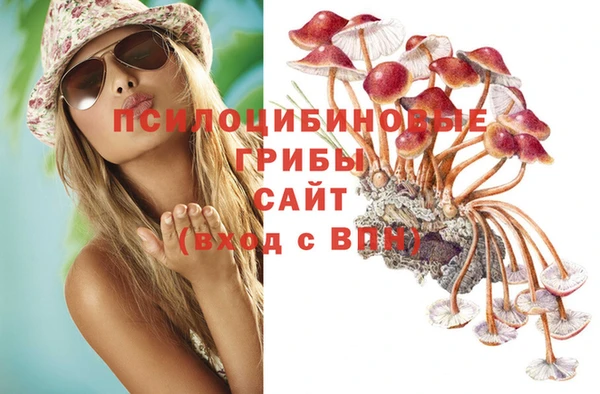 тгк Алексеевка