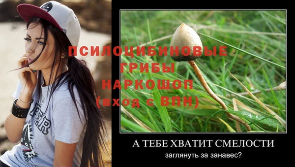 кокаин Алзамай
