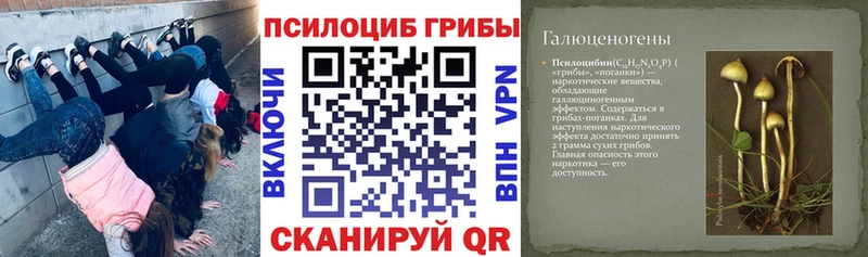 Псилоцибиновые грибы Psilocybine cubensis  Удомля 