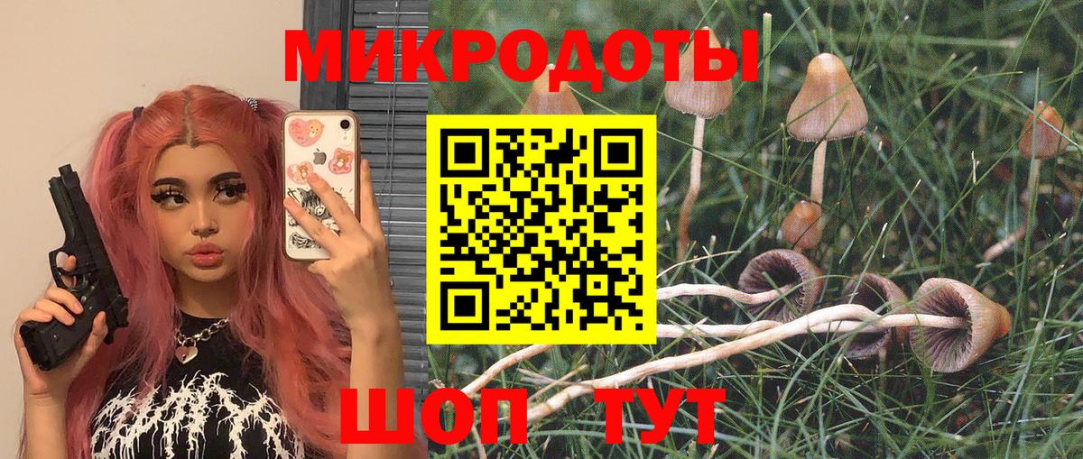 Псилоцибиновые грибы ЛСД Удомля